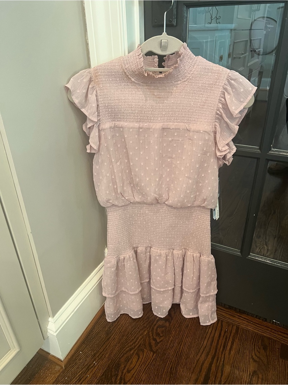 NWT Soft Pink Ruffle Swiss Dot Dress by Aqua
